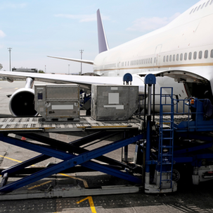 Your Guide to Unit Load Devices (ULD)