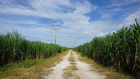 road-5479236_960_720.jpg