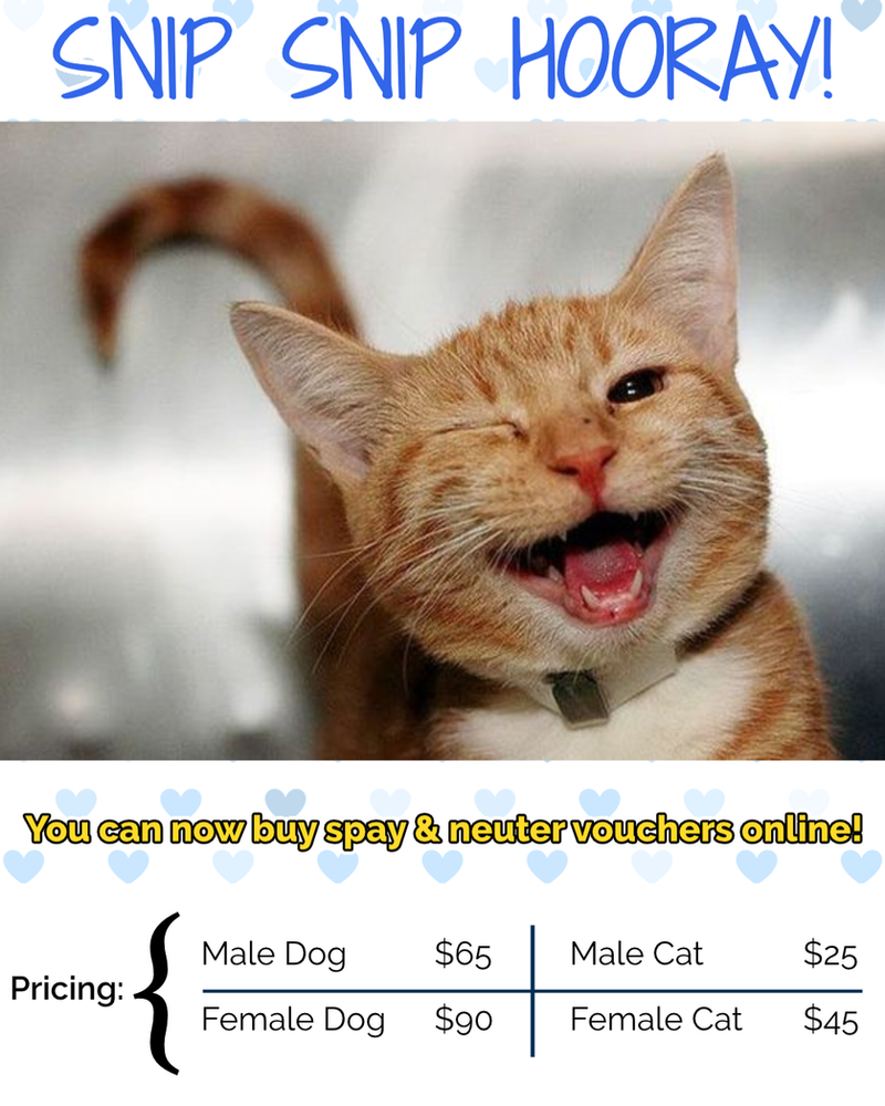 Spay & Neuter Vouchers can now be purchased online!