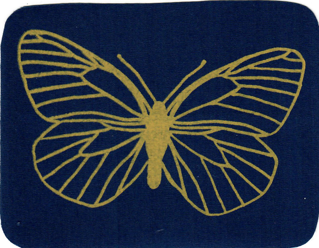 FlickZeug gross Schmetterling