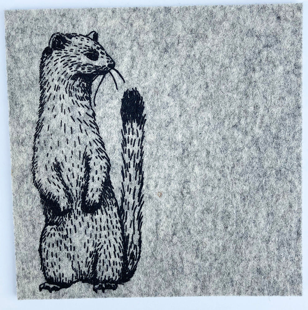 UnterTan hellgrau Wiesel