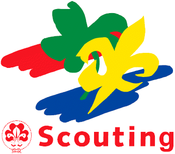 scouting20nl2008.gif