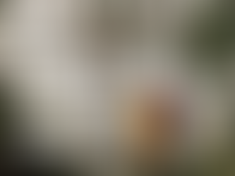 I'LL MISS YOU PHOENIX!