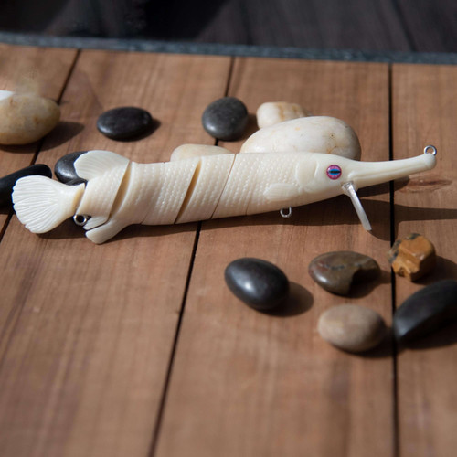 Alligator gar - Image 2