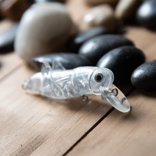 Giant Grasshopper - Image 2