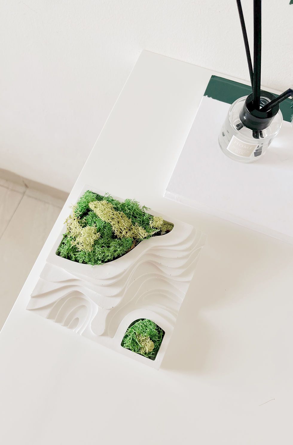 Architecture Planter