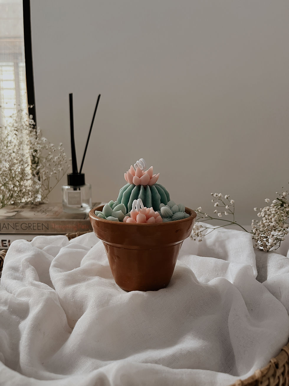 Thumbnail: Cactus Garden Candle
