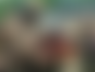 After the Coup: Wagner Group's Current Operations