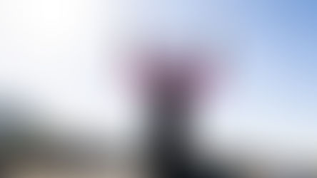 NXT Gen Notebook: Maiden winner crowned in Arlington frenzy