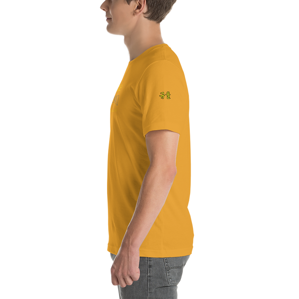 Thumbnail: Discipline Unisex t-shirt