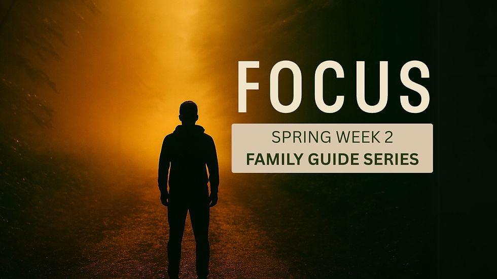 A martial arts student stands in silhouette on a forest path, facing a beam of golden light — symbolizing focus, clarity, and the journey of personal growth through Kuk Sool Won™ family martial arts.