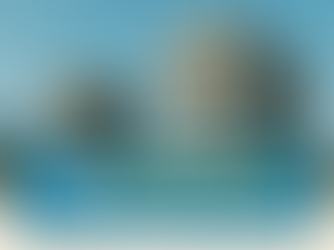 20 крупнейших лучших застройщиков Алании