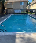 IMG_2261.jpeg