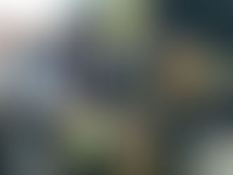 A CONFEDERAÇÃO DO ELO SOCIAL DO BRASIL CONSTRUIRÁ PRÉDIOS SOCIAIS NO ESTADO DE SANTA CATARINA