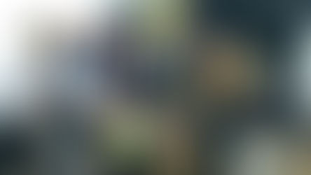 A CONFEDERAÇÃO DO ELO SOCIAL DO BRASIL CONSTRUIRÁ PRÉDIOS SOCIAIS NO ESTADO DE SANTA CATARINA