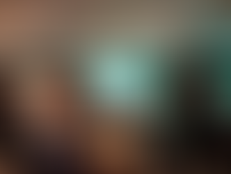 SISTEMA INER PARTICIPA DA BUSINESS TO FINANCE ORGANIZADO PELA LOWCARBON BRAZIL