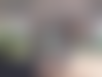 CONSÓRCIO INER LIBERA A PARTICIPAÇÃO EM ENTREVISTAS