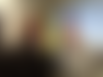 AVANÇAM AS NEGOCIAÇÕES PARA QUE ARAQUARI VENHA SEDIAR O COMPLEXO INDUSTRIAL INER