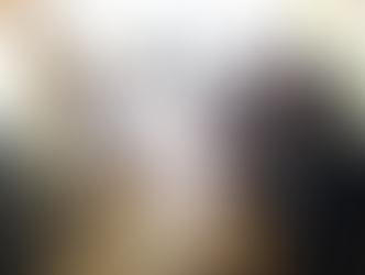 PROJETO DESMANCHECAR A UM PASSO DE SE TORNAR REALIDADE