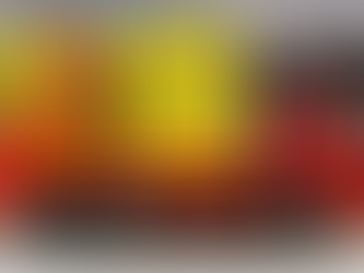 Grimaldi, a maior empresa do seguimento recebeu o presidente do consórcio INER no dia 13/09/19