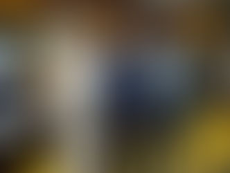 DEPUTADO FEDERAL LINCOLN PORTELA RECEBE O GRUPO INER EM BRASÍLIA