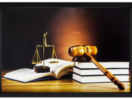 ASSISTENTE DE PROCURADORIA – PROJETO QUE DARÁ DIREITO A TODOS OS ADVOGADOS DO BRASIL ATUAREM