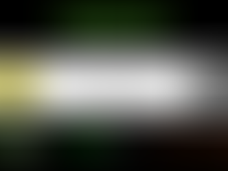 São Francisco do Sul - SC – Agenda Pública de Apresentação do Projeto “Lixo Zero, Social 10”