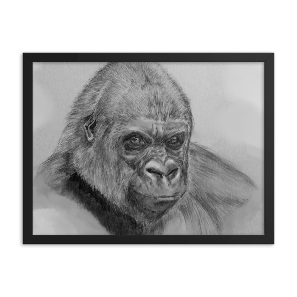 Gorilla Framed Print