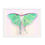 Thumbnail: Luna Moth Framed Print