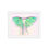 Thumbnail: Luna Moth Framed Print