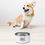 Thumbnail: Pet bowl