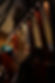 DSC05612.JPG