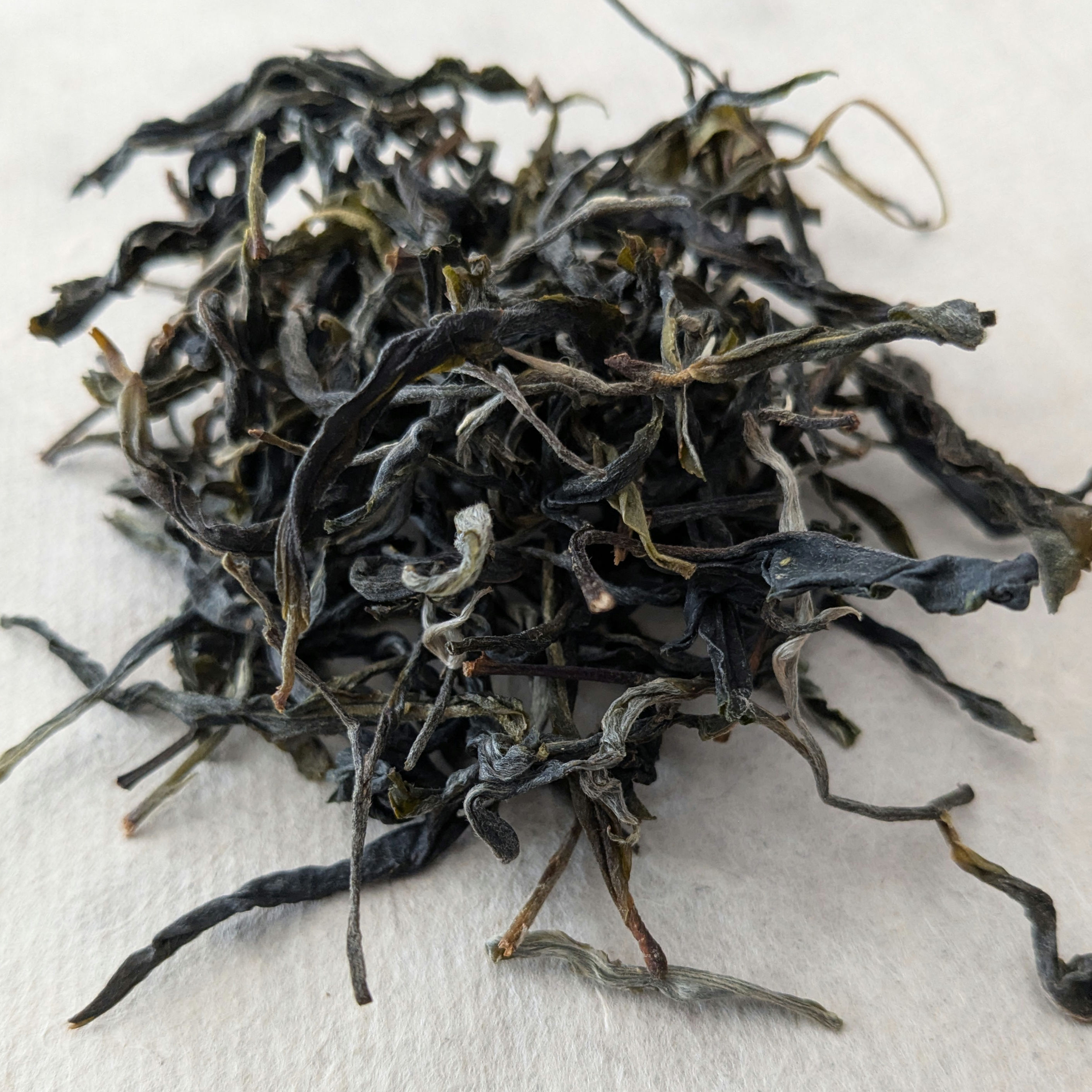 Gaoshan Early Spring Maocha 2026 (200g)