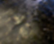 photobyjeromesaunders-9752_edited.jpg