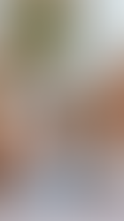 The Celiac Space: Un Equipo Unificado y con Sistemas Definidos