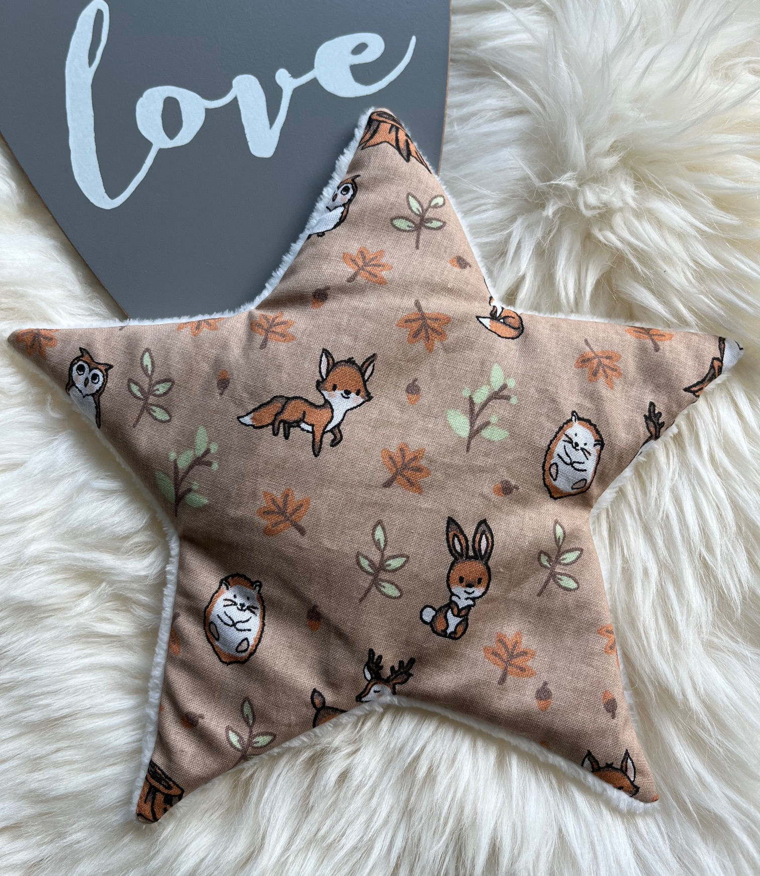 Linsen-Stern "Füxli"