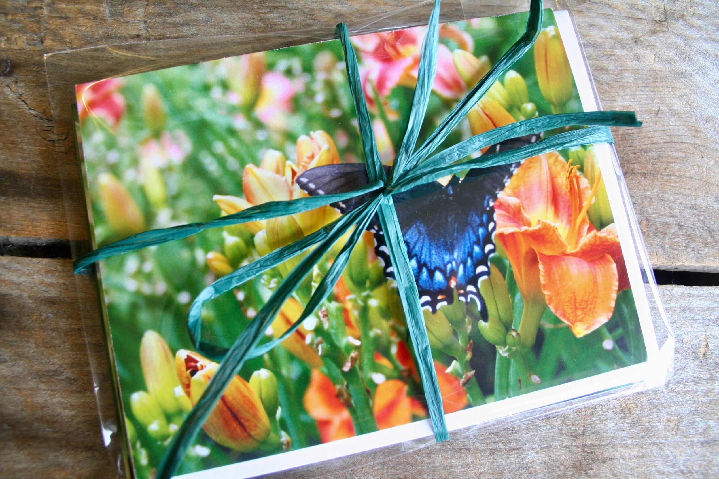 Shenandoah Valley Landscape Artist/United States/ChristieLOsborneArt