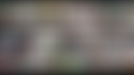 第16回セミナー終了報告「複数の言語・文化で育つ子どものリテラシーを考えるⅡ　実践編」（202009セミナー16）