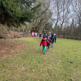 Kingswood common walk