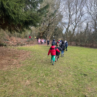 Kingswood common walk