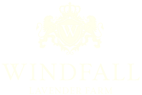 logo resized (OFF WHITE COLOR)_edited.pn