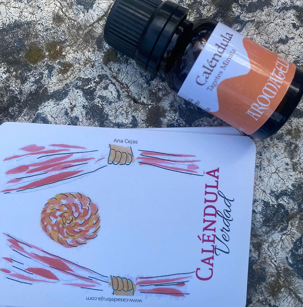 calendula