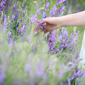 lequilibre-ca-se-cuisine-therapie-sensat