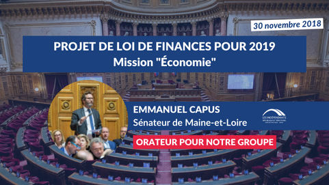 Emmanuel CAPUS : PJL PLF 2019 - mission Économie