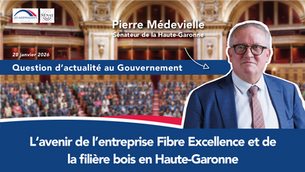 QAG - Pierre Médevielle - Avenir de l'entreprise Fibre Excellence et de la filière bois en Haute-Garonne