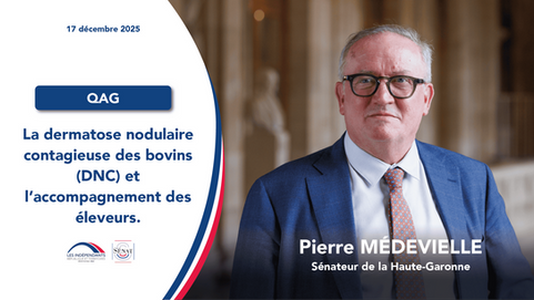QAG - Pierre Médevielle - la dermatose nodulaire contagieuse des bovins (DNC) et l’accompagnement des éleveurs.