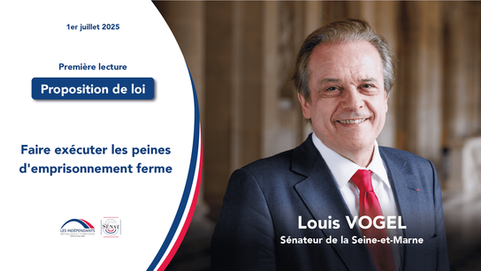 Louis Vogel : Faire exécuter les peines d'emprisonnement ferme
