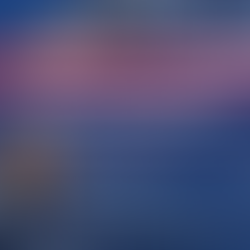 Alain MARC : QAG - Lutte contre la contrefaçon