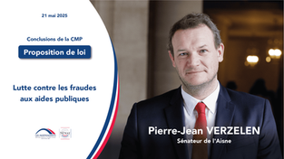 Pierre-Jean Verzelen : Lutte contre les fraudes aux aides publiques