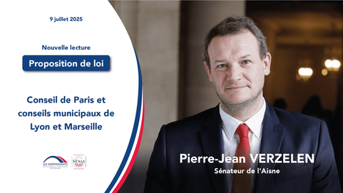 Pierre-Jean Verzelen : Conseil de Paris et conseils municipaux de Lyon et Marseille